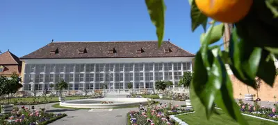 Foto von Schloss Hof