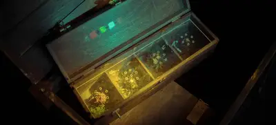 Foto von Escape Boxen - Die mobilen Live Escape Games