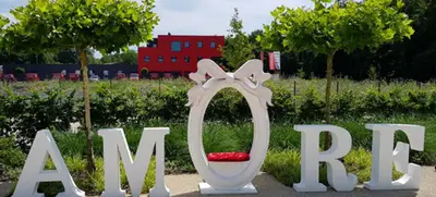 Foto von Ihre unvergessliche Hochzeit