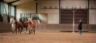 EQUI Connexion