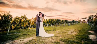Foto von Weingut Holler