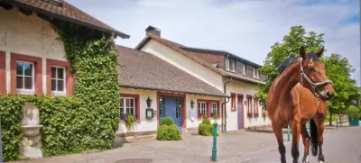Foto von Der Linslerhof - Hotel, Restaurant, Events & Natur