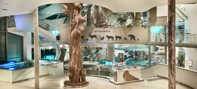 Foto von Museum Niederösterreich