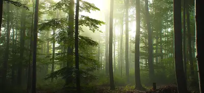 Foto von Rätselraum