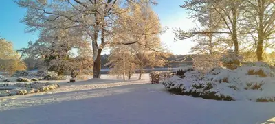 Foto von Weihnachtsfeier im Grünen