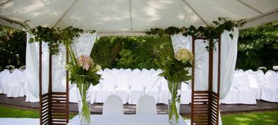 Foto von Hochzeit unter alten Bäumen