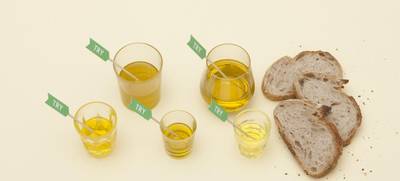 Foto von TRY FOODS GmbH & Co. KG