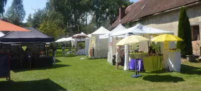 Foto von Schloss Grüningen