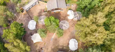 Foto von Secret Forest – Der grüne Flugplatz