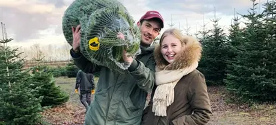 Foto von Weihnachtsbaumschlagen