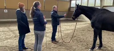 Foto von Begegnung am Pferd
