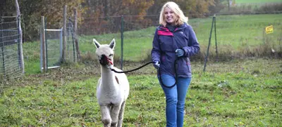 Foto von Kleine Auszeit mit Alpakas