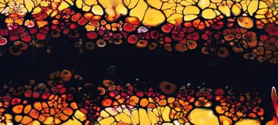 Foto von Acryl-Pouring Level 2 - Zellen erzeugen