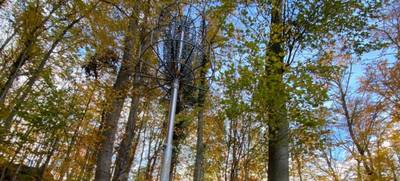 Foto von Lila Disc Golf Parcours