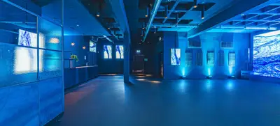 Foto von P61 Gallery