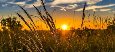 Foto von Sommer-Komfort-Special-Tagungspauschale