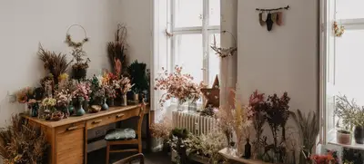 Foto von Grimms Garten