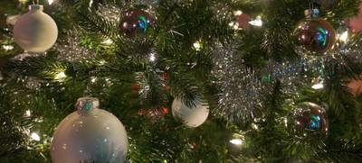 Foto von Magical Christmas