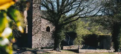 Foto von Fackelwanderung zur BurgRuine