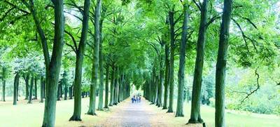 Foto von AUF SCHATZRUNDGANG DURCH POTSDAM - prunkvolles Geocaching Team Erlebnis!