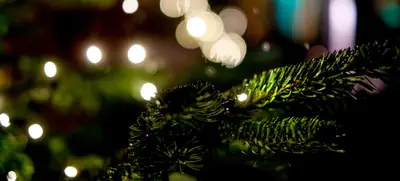 Foto von FREIgeist Weihnachtsbuffet II