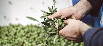 Foto von Olivenöl & Balsamico-Tasting