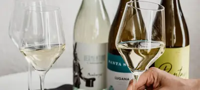 Foto von Viani Wein-Tasting