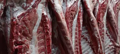Foto von Fleischerei Ringl
