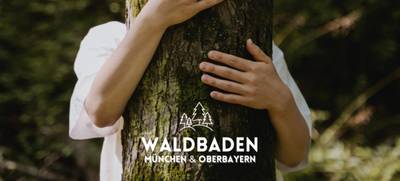 Foto von Waldbaden München - deine Auszeit im Wald
