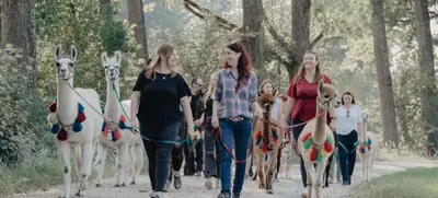 Foto von Flauschige Gauditour mit Alpakas & Lamas