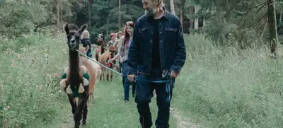 Foto von Flauschige Gauditour mit Alpakas & Lamas