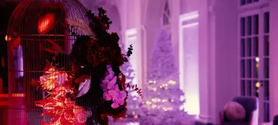 Foto von Weihnachtspauschale Paket 4