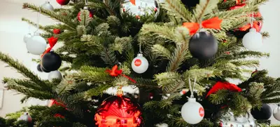 Foto von Exklusives Weihnachtsmarkt-Feeling am Abend für größere Gruppen
