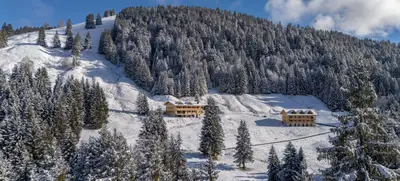 Foto von Wald & Wiesn Berghotel Balderschwang
