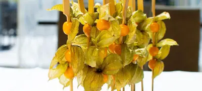 Foto von Taste Premium Full Day