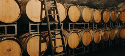 Foto von Kulinarische Weinprobe