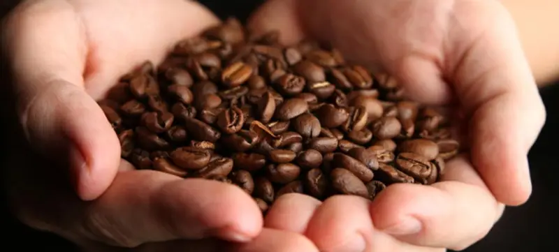 Foto 4 von BaristaSoul