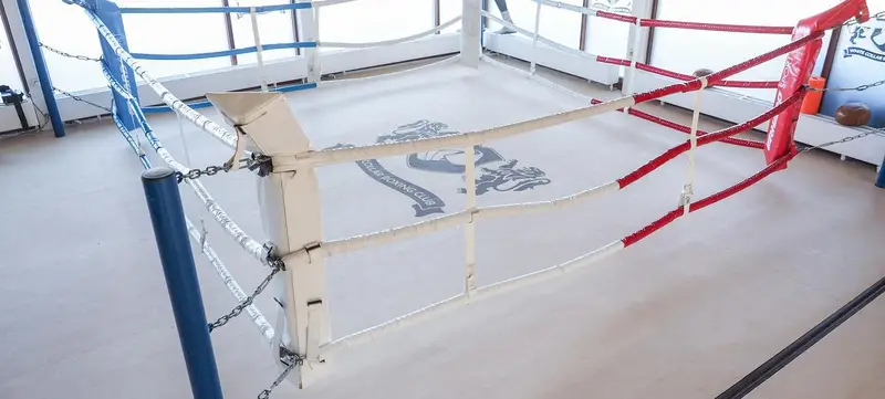 Foto 2 von White Collar Boxing Club