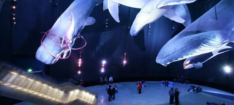 Foto 3 von Ozeaneum - Riesen der Meere