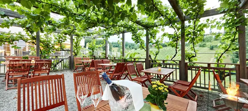 Foto 2 von Weinhotel Gut Pössnitzberg