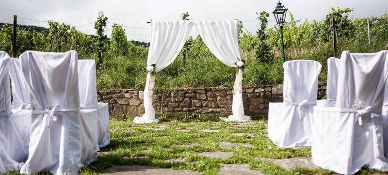 Foto 1 von Traumhochzeit in den Döblinger Weingärten