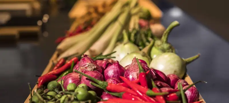 Foto 4 von ConFusion­ Asiatisches Catering