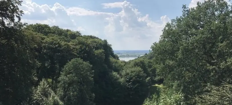 Foto 10 von Villa am Schinckels Park