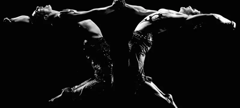 Foto 1 von WITTROBIN Show Creations