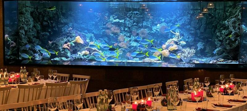 Foto 2 von Restaurant Patagona im Tierpark Berlin