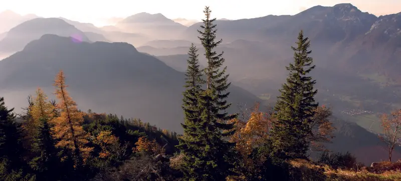 Foto 4 von Geführte Wanderung auf den Predigtstuhl