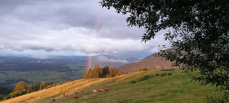 Foto 11 von Alm Bad Feilnbach