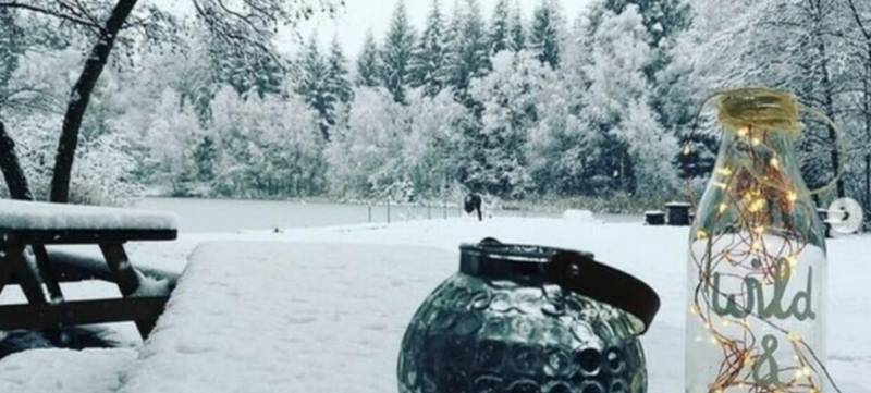 Foto 7 von Wild und Wurzel Kiosk Bruchsee