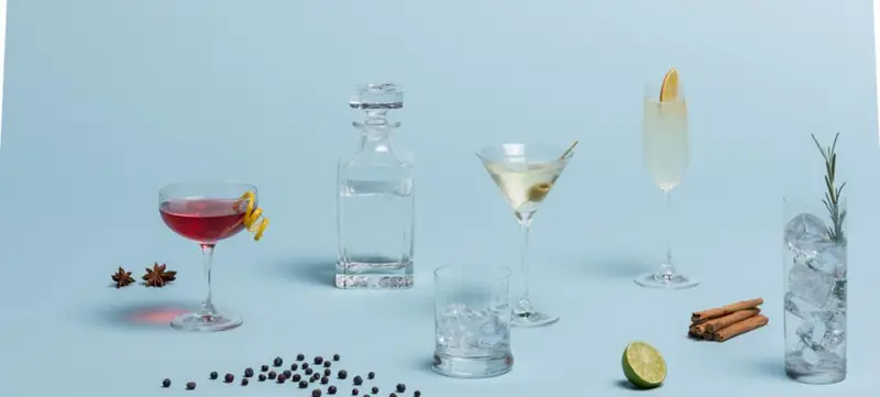 Foto 2 von Online Gin-Tasting