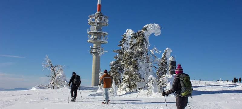 Foto 1 von Schneeschuhwanderung